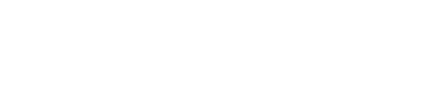 SecurTech Solutions Logo